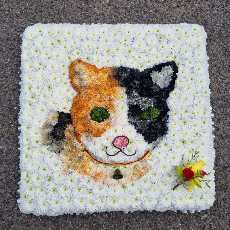 Cricket Tribute