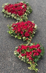 Red Rose Heart Trio